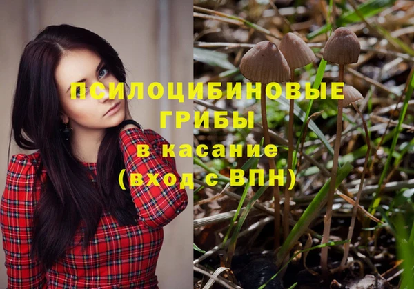 мдпв Абинск