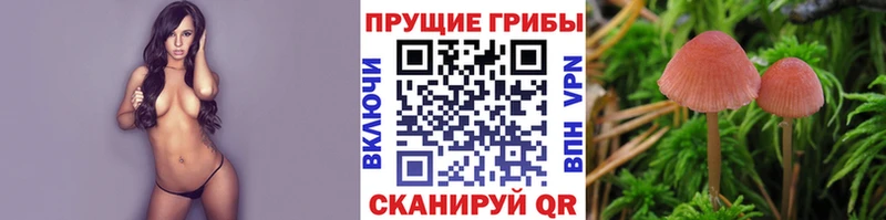 darknet клад  Клинцы  Псилоцибиновые грибы MAGIC MUSHROOMS  mega ONION 